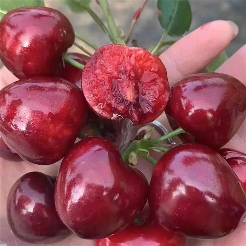 ܇әҘl 1׸܇әr