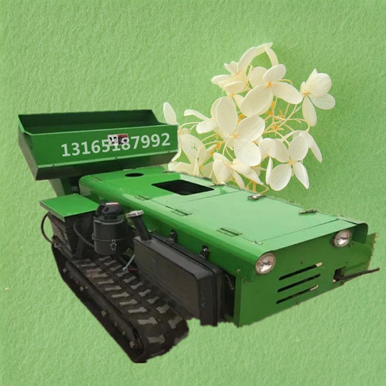 ĎʽrҷʻC  ๦_ϙCd