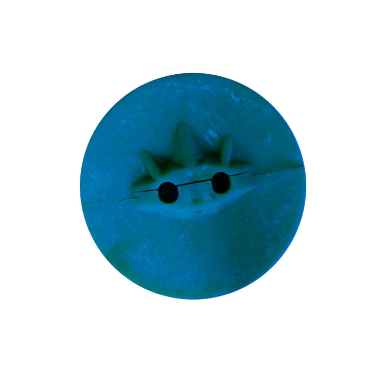 PƬ; ĥ͸g