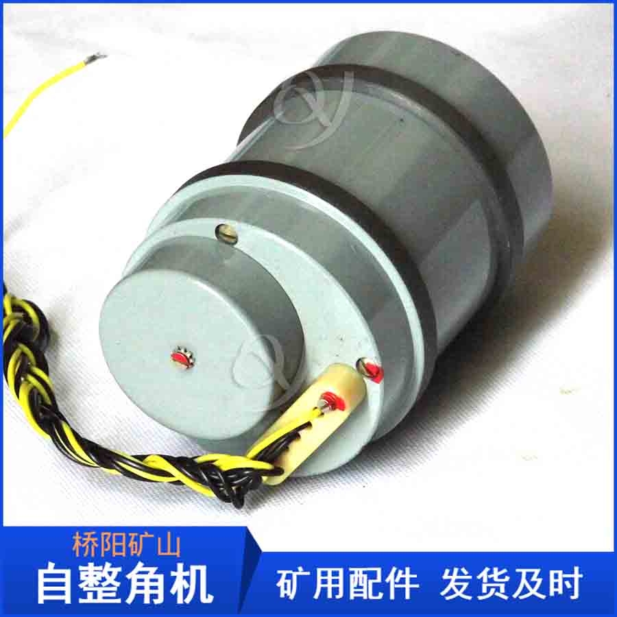 NS404ǙCN̖Rȫ Sa