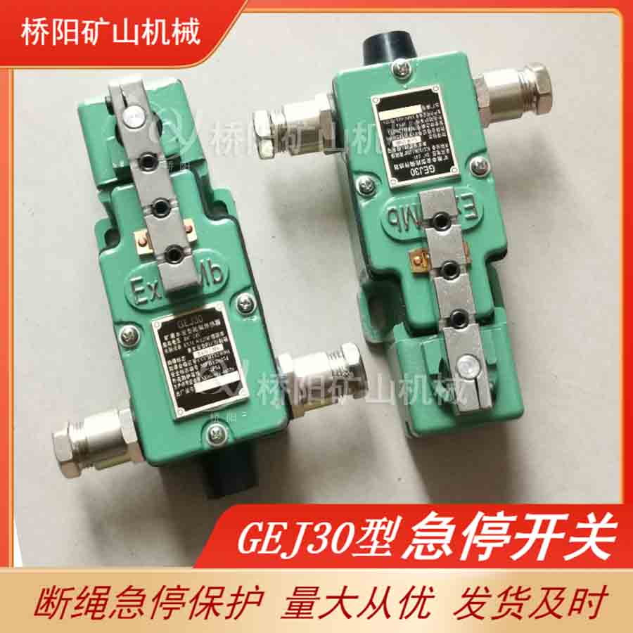 ݔO GEJ30Ԅͼͣ_P