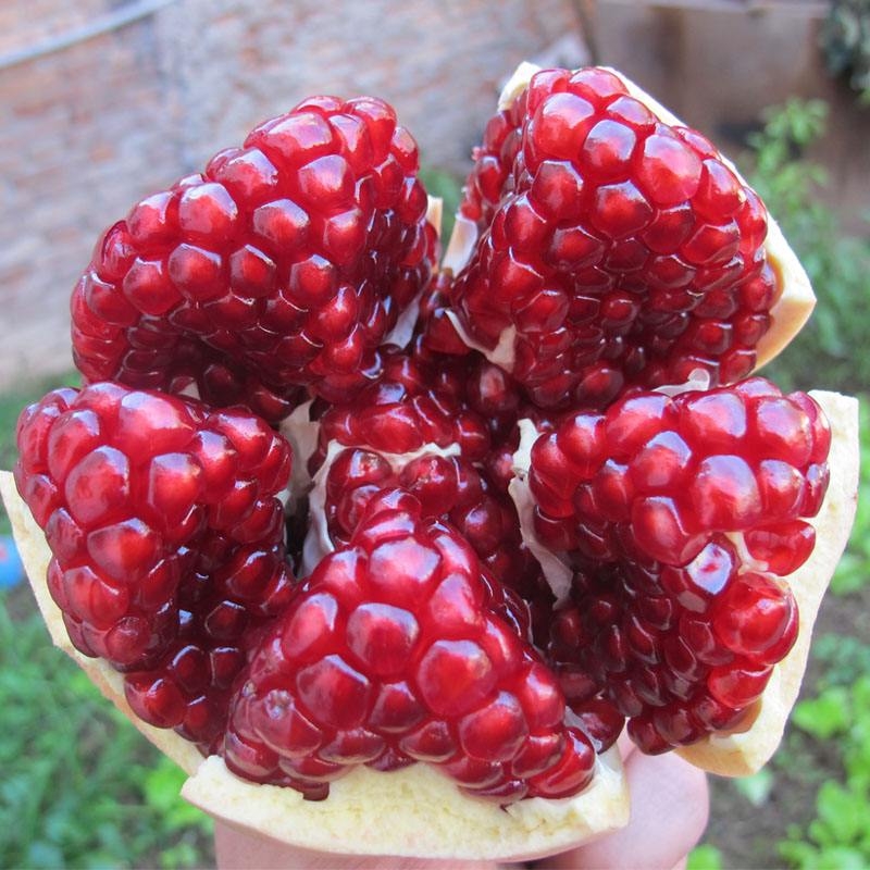 Rʯ񮔵ː۳Եrˮخal