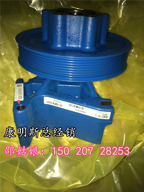 ̓rLݞ3104654Cе/늇Cͨÿ