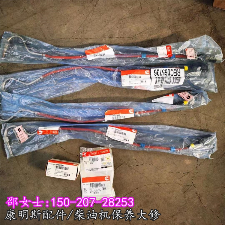 QSK603642537ضȂ ݈r