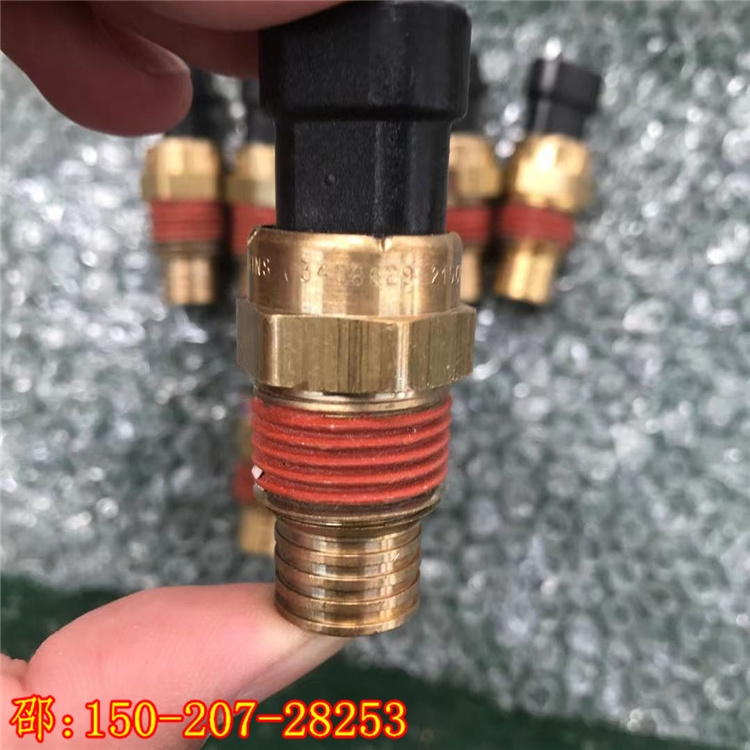 ݙCM30563553408629˹SoB