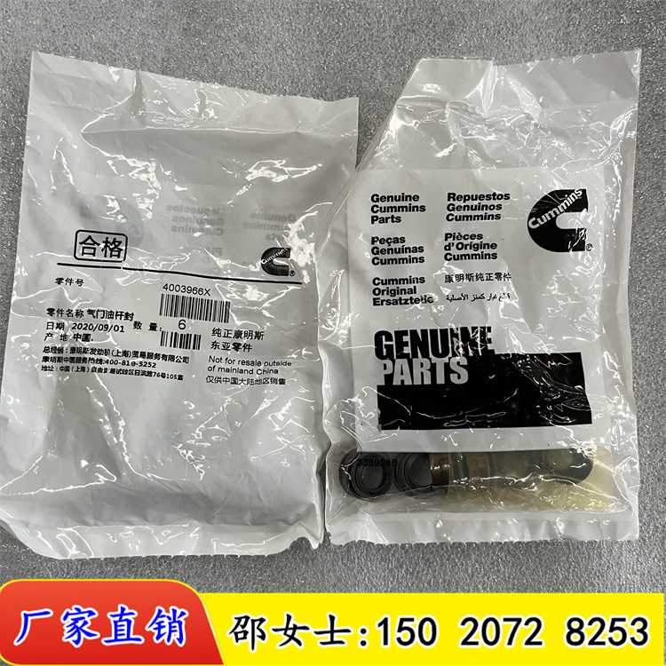 CCEC3007525-10FV/~V_O4003966TUͷ