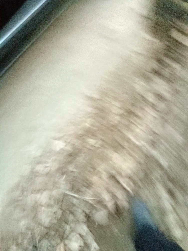 ȡCMϵԒ