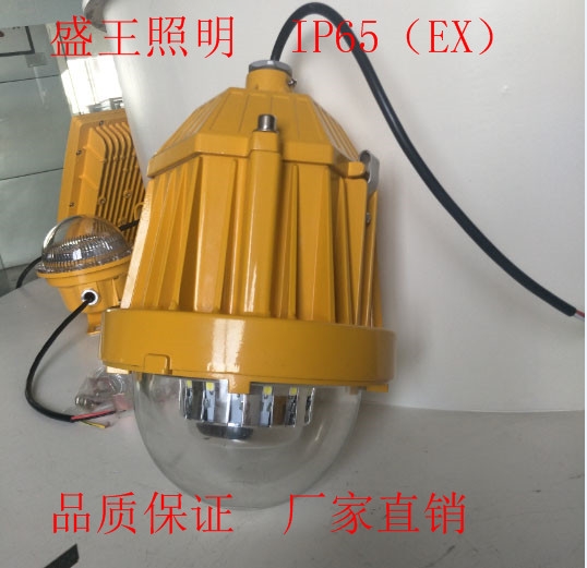 LFB-48-02 LFB-48-02̑BSoƽ_