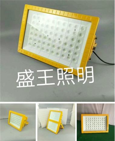 NFW9189̑B2023Ѹ£/]