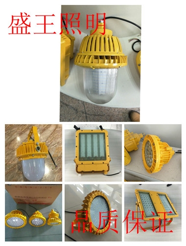 LFB-48-02̑BSoƽ_