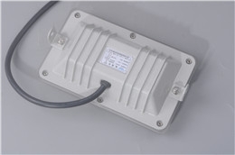 NFE9189AB̑B2023Ѹ£/ԃ
