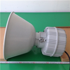 픟ZY6710-MH400/250W