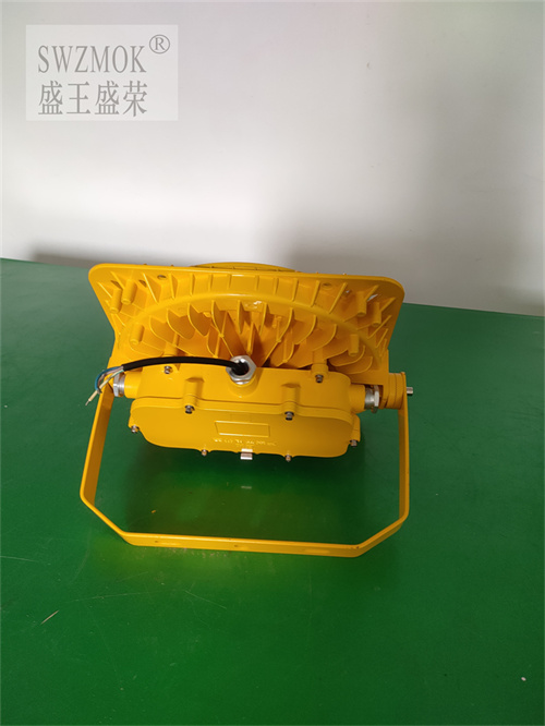 FCS240225LED2024Ѹ£/飩
