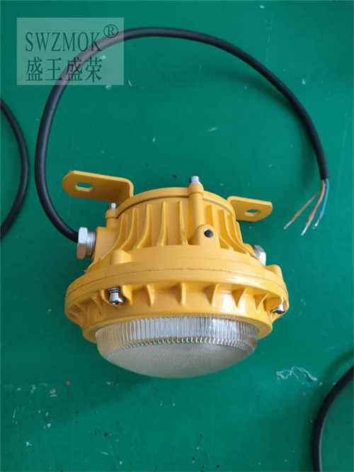 CCS240225LEDSo2024Ѹ£/飩