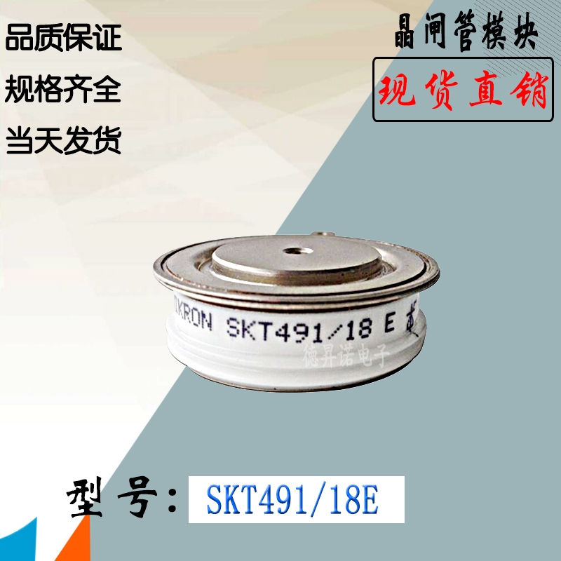 SKT493/14E SKT493/16EȫֱNTlģK