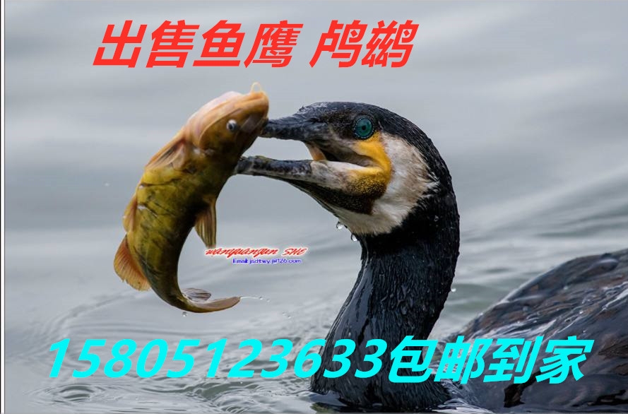 u~r гu~ R\r