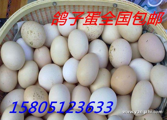 uӵ
