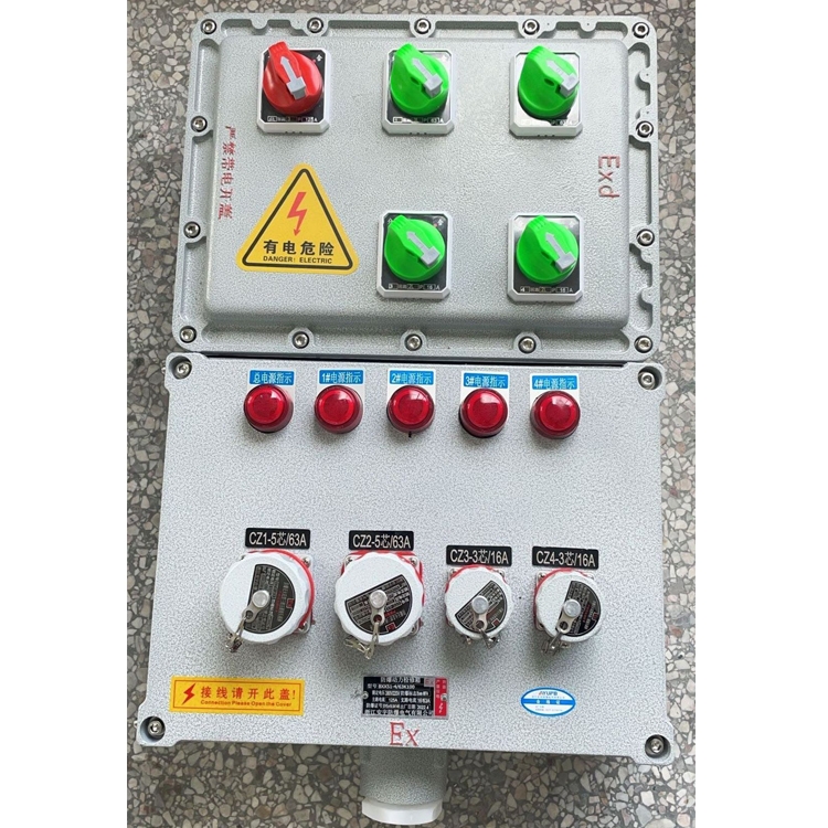 BXD51-2K6/K ExdIIBT4/CT4pԴГQ