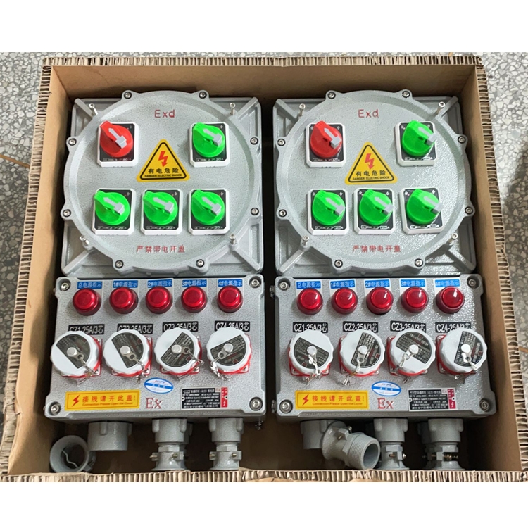 BXK8050-4K/100KzTX|IP65
