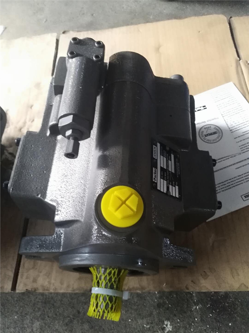 ТpPV032R1K1A4NPTZ+PVACPTMNS+P11A