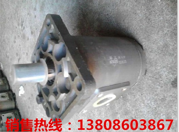 ZS1-L15E-AW·QyI