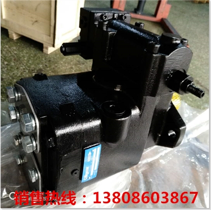 ˹PGF2-2X/011RA01VP2ʽ늴y