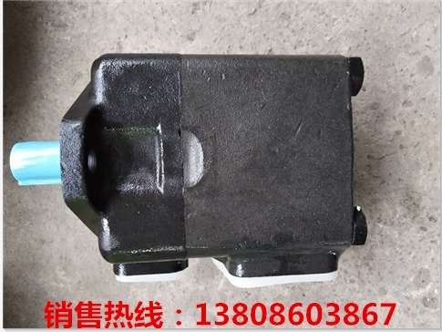 DPVH141QIC-RSM-13S-11-C25V-31
