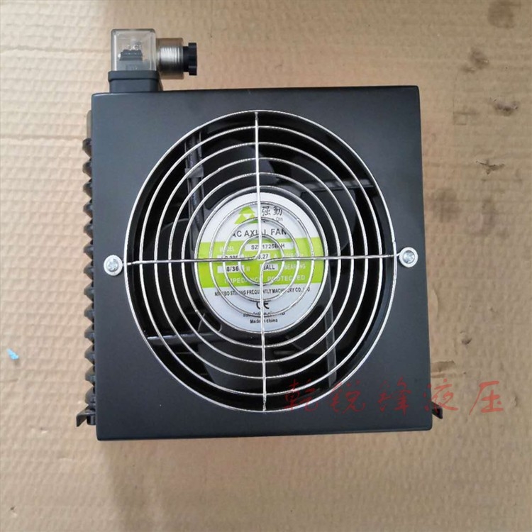 ʮP204RP01