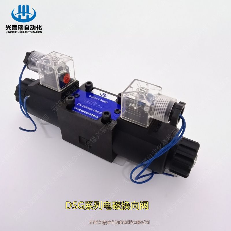 SֱDSG-02-3C10-A220-50DSG-03-2B2B늴œQy