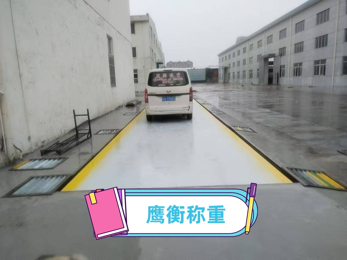 쌎ӵذۏSңߴ綨ԃ