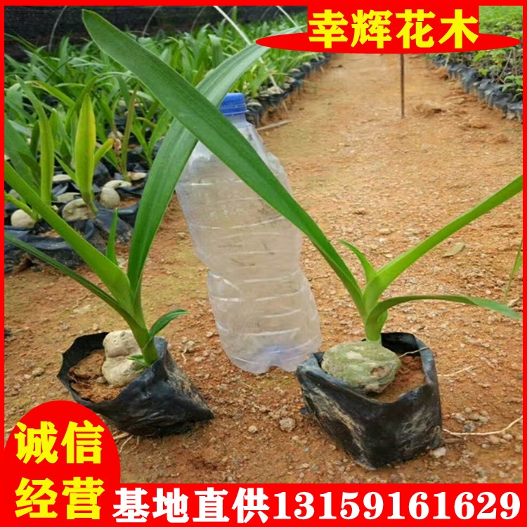 mֲlͥԺõmNֲ
