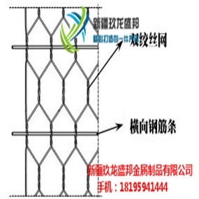 2019ʢƮaƷ늺eW