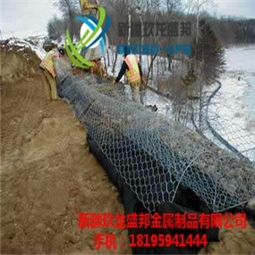 2019ʢƮaƷ젖ոe