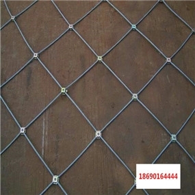 RXI-050̖ӭhξWSl