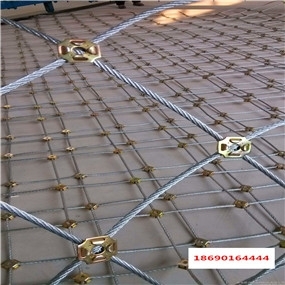 RXI-050̖hξWr