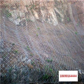 RXI-050̖hξWr񃞻