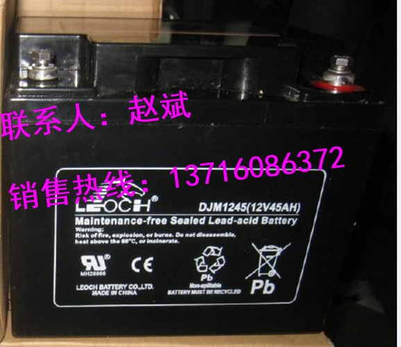 ʿLEOCH늳FT12-90/12V90AHr񅢔