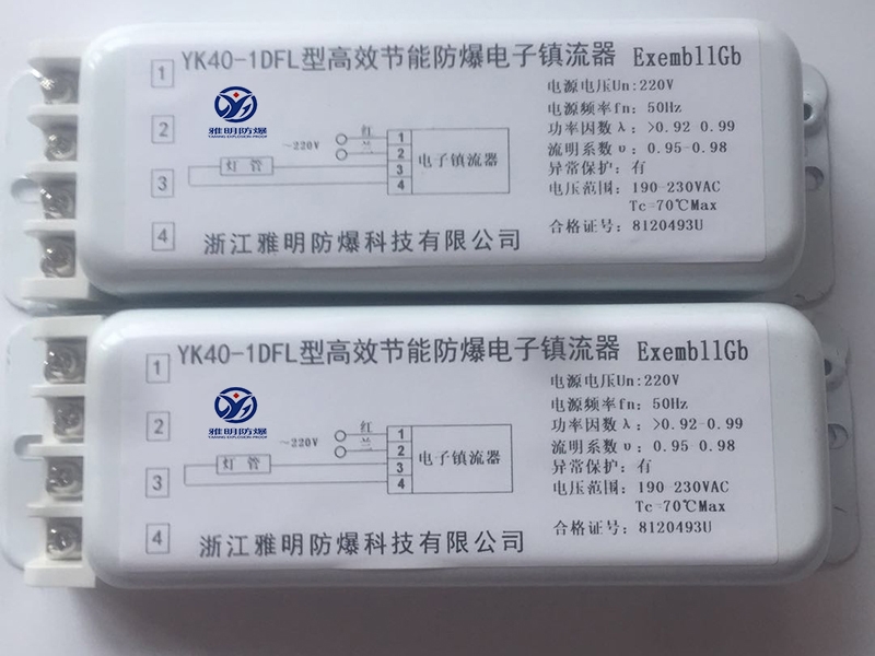 110V20W40Wһһ
