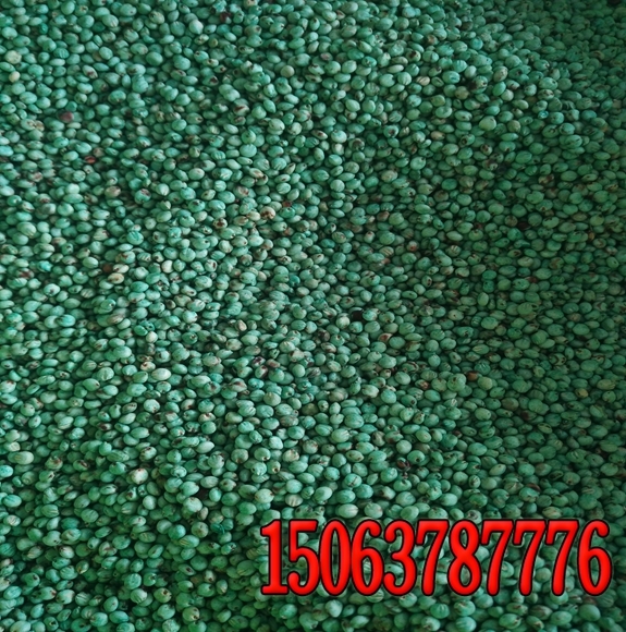 oݷNôNֲ