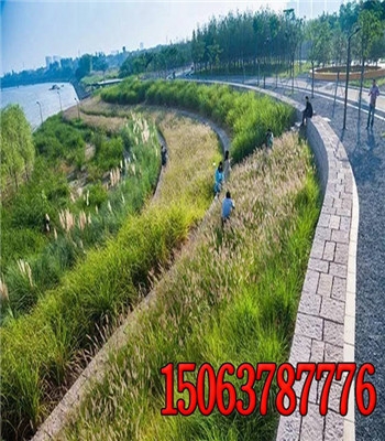ɹŞm첼βƺN