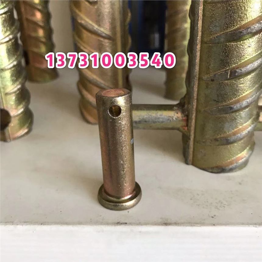 s19 ݼyͲ