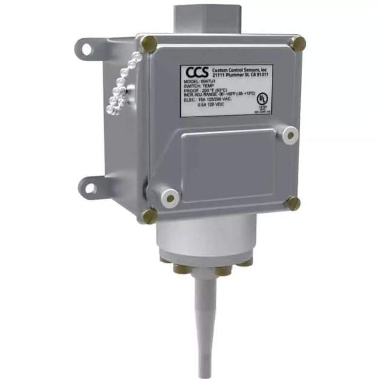 CCSض_P604T3