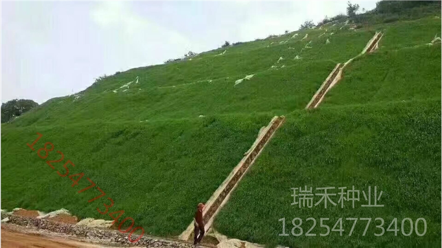̲ƺNӾGrr