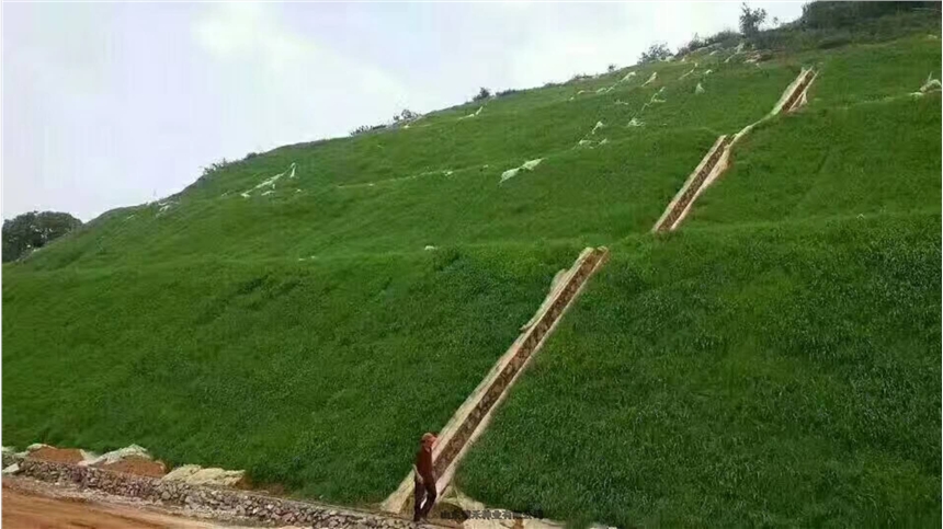 o²ƤNʲôͺG