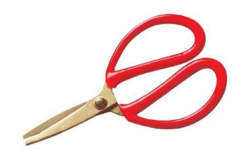 ߘƷFƤüAQSֱN
