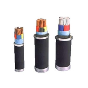 ZR-YGC 1*10z|