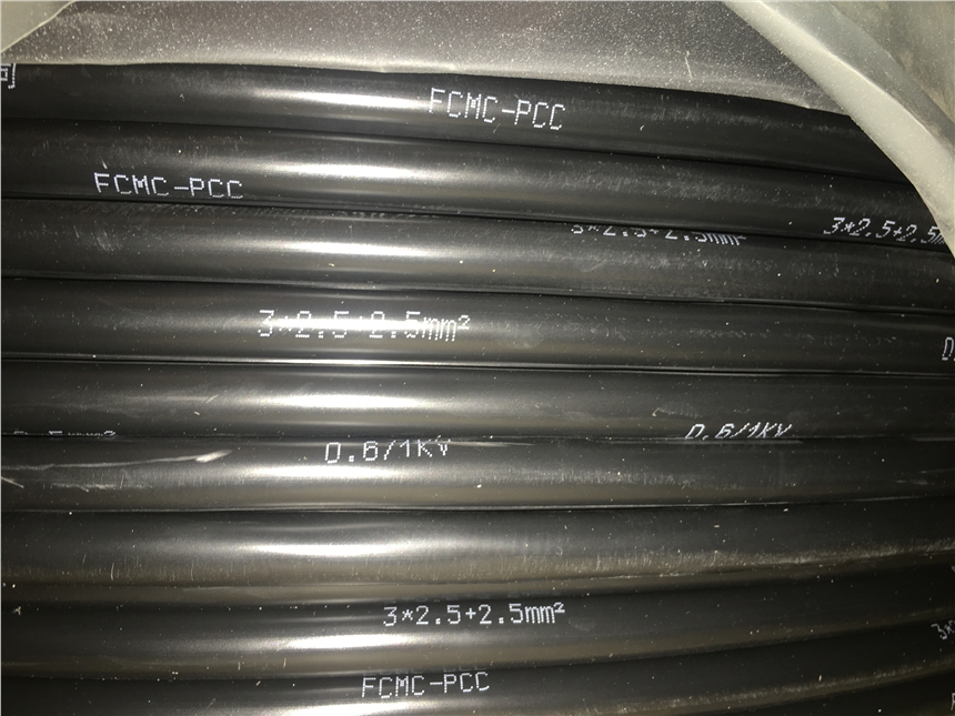FCMC-PCC 3*2.5׃l|SҬF؛