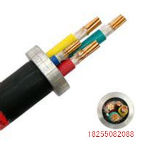 ZCN-DJVP3VP3-22-(B)-(J)0.3/0.5kVӋC|ˇ
