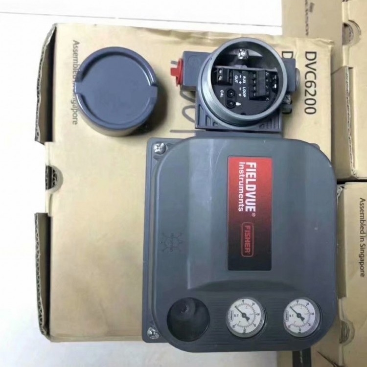 :MϣFisheryTλ   DVC6200F