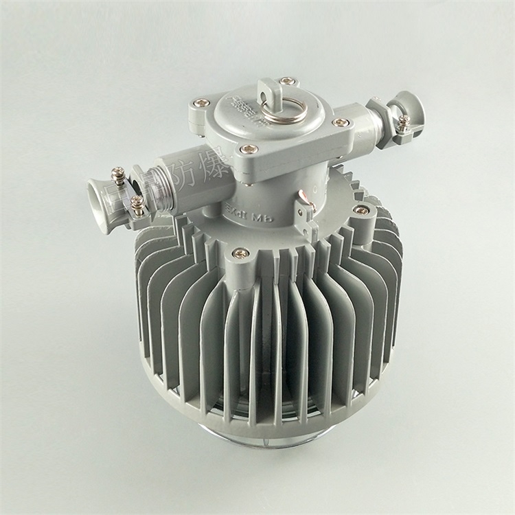 ޶DGS48/127L(A)VøLED